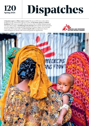 Front cover of Spring Dispatches
